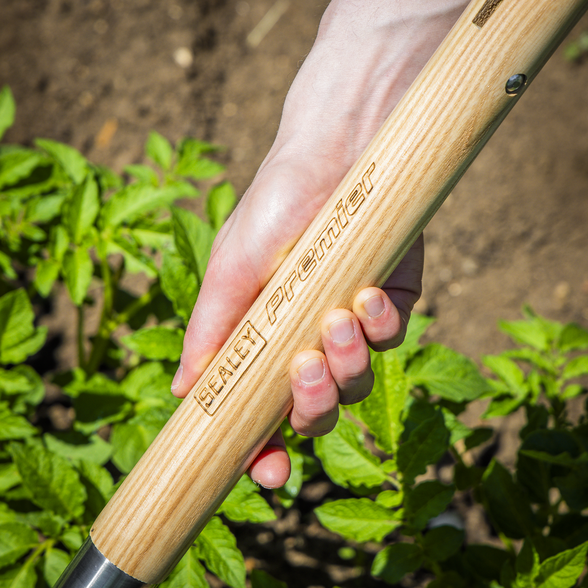 Premier GTWH016 Premier Digging Fork with Ash Handle & Stainless Steel Tines