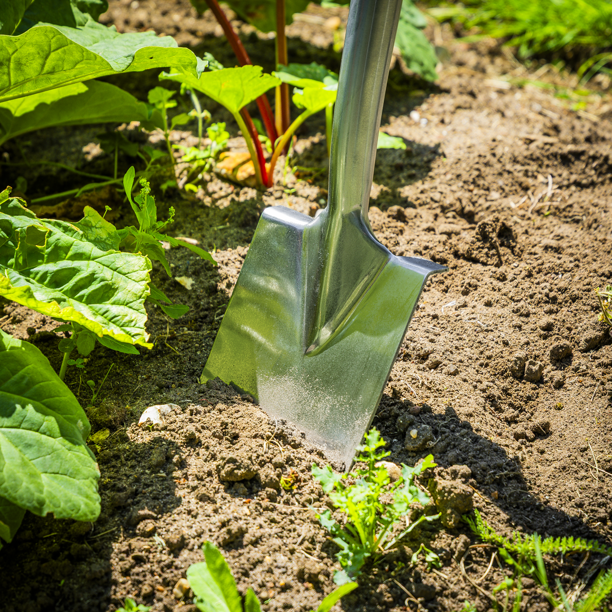 Premier GTWH017 Premier Border Spade with Ash Y Handle & Stainless Steel Blade