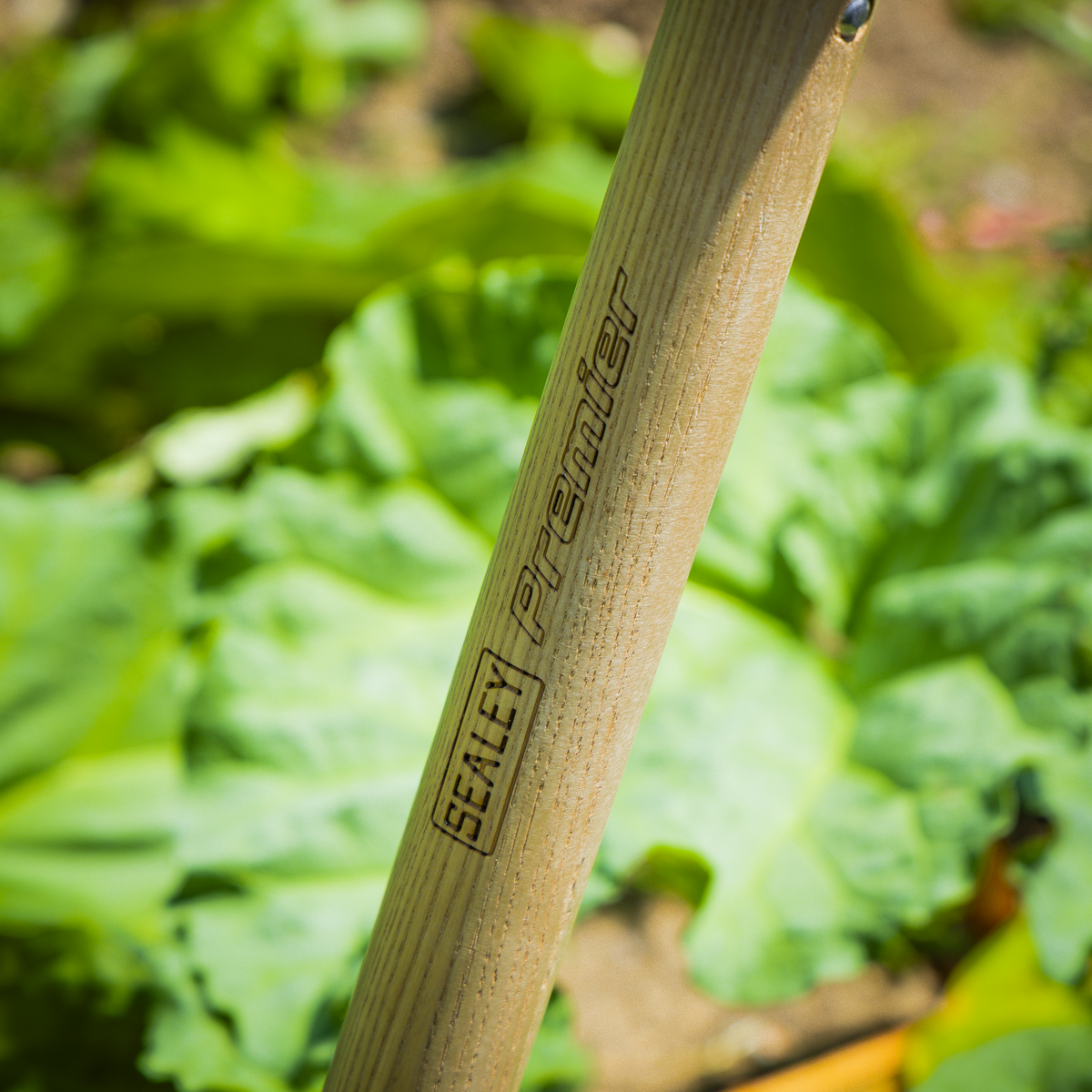 Premier GTWH017 Premier Border Spade with Ash Y Handle & Stainless Steel Blade