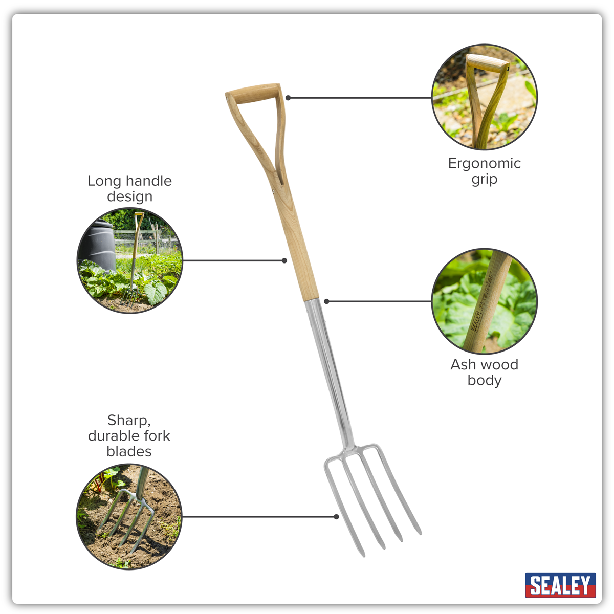 Premier GTWH018 Premier Border Fork with Ash Handle & Stainless Steel Tines