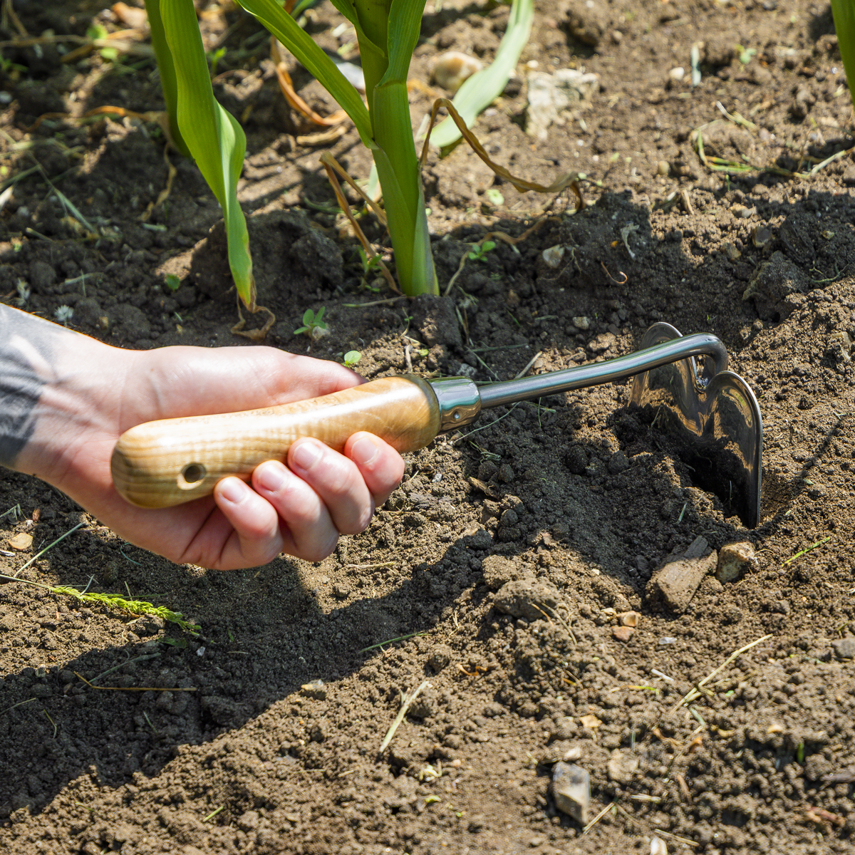 Premier GTWH019 Premier Mini Hoe with Ash Handle & Stainless Steel Blade