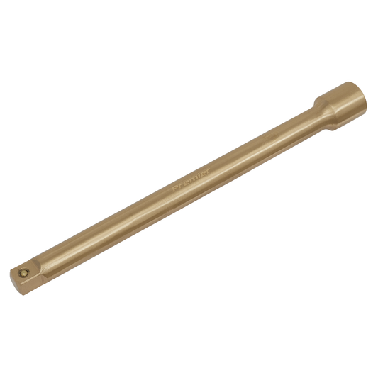 Premier NS064 Premier Non-Sparking Extension Bar 1/2"Sq Drive 250mm