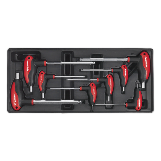 Premier TBT06 Premier T-Handle Ball-End Hex Key Set with Tool Tray 8pc