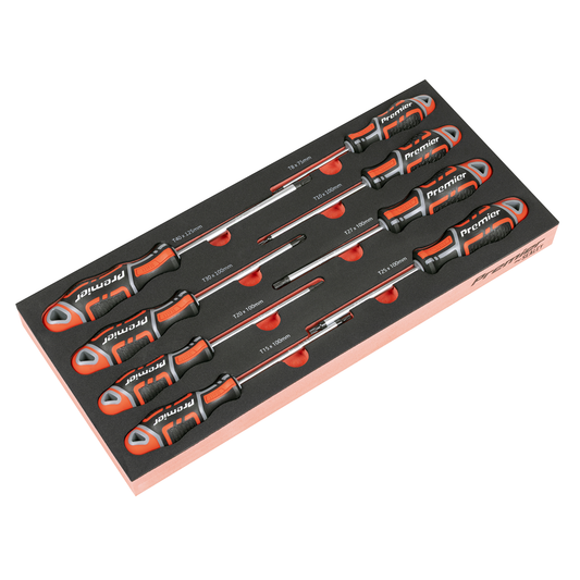 Premier TBT55 Premier TRX-Star* Screwdriver Set with Tool Tray 8pc