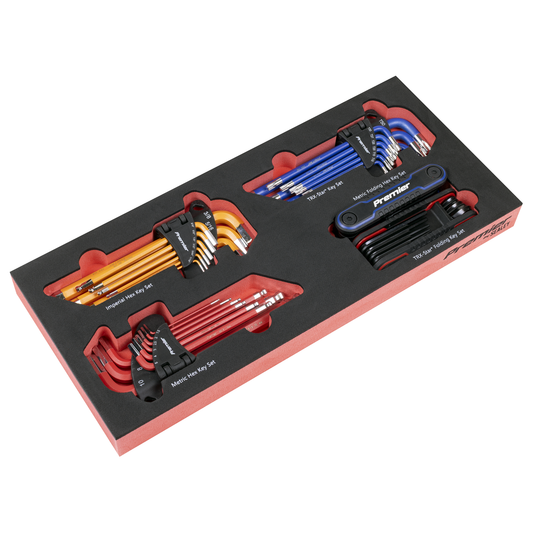 Premier TBT62 Premier Master Key Set with Tool Tray 43pc