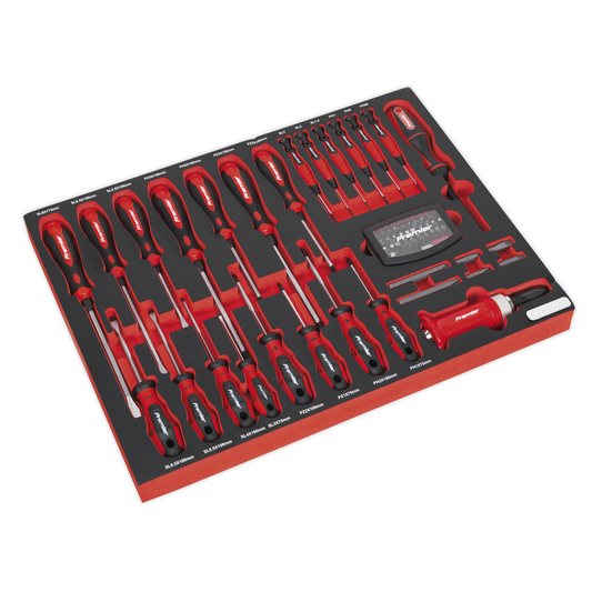 Premier Platinum TBTP04 Premier Platinum Screwdriver Set with Tool Tray 72pc