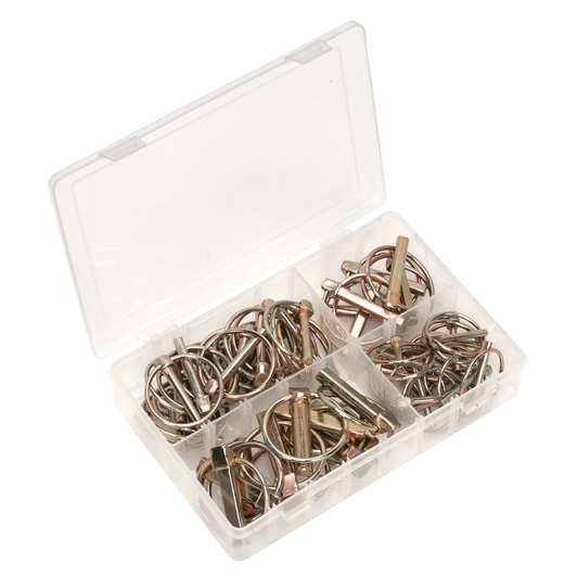 Sealey AB022LP Linch Pin Assortment 50pc