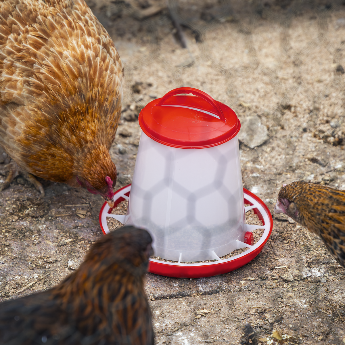 Sealey AFT025 Poultry Feeder 1.5kg - Pack of 5