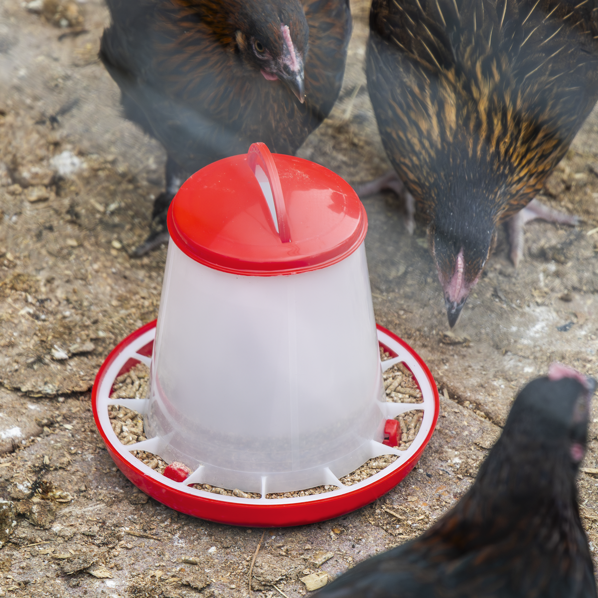 Sealey AFT025 Poultry Feeder 1.5kg - Pack of 5