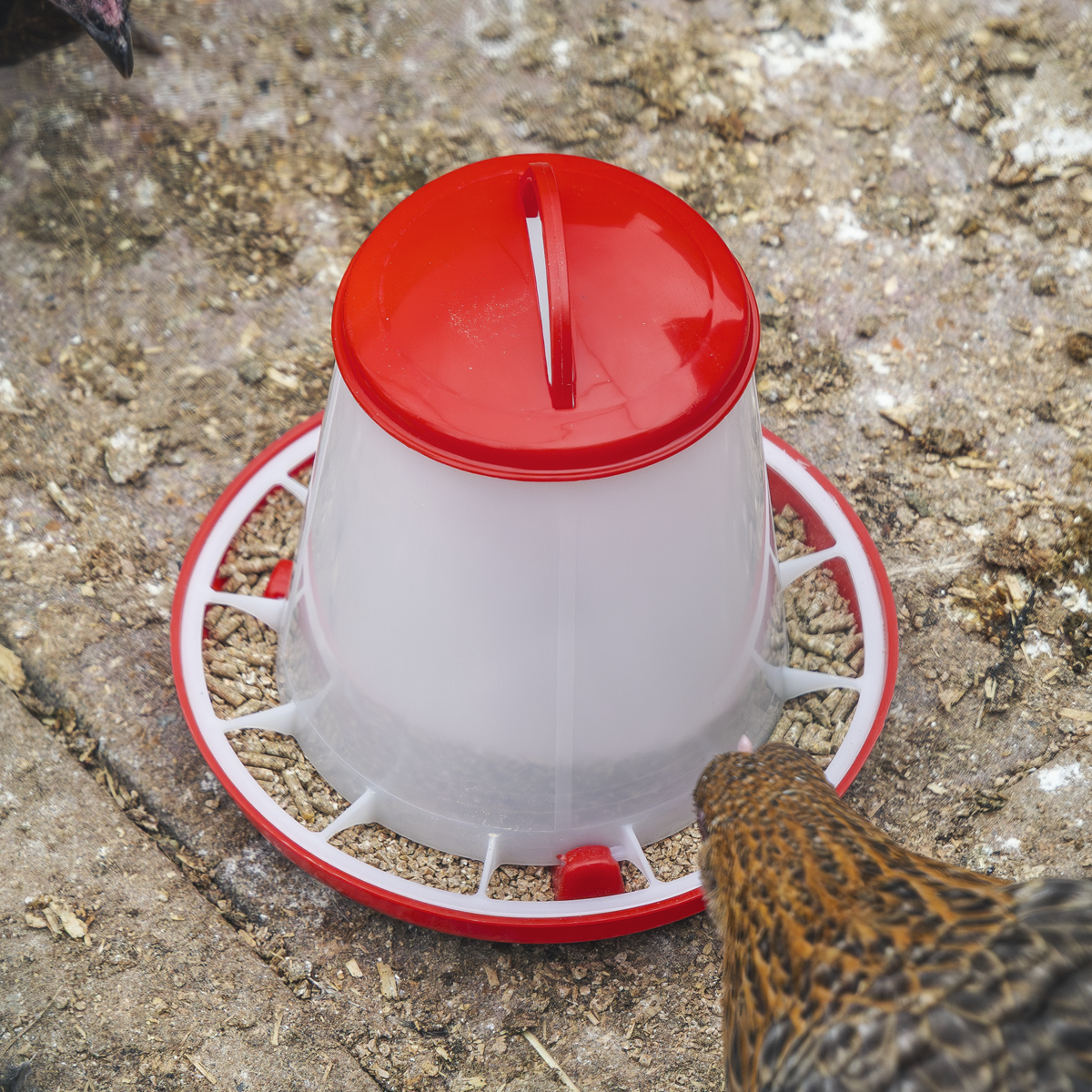 Sealey AFT025 Poultry Feeder 1.5kg - Pack of 5