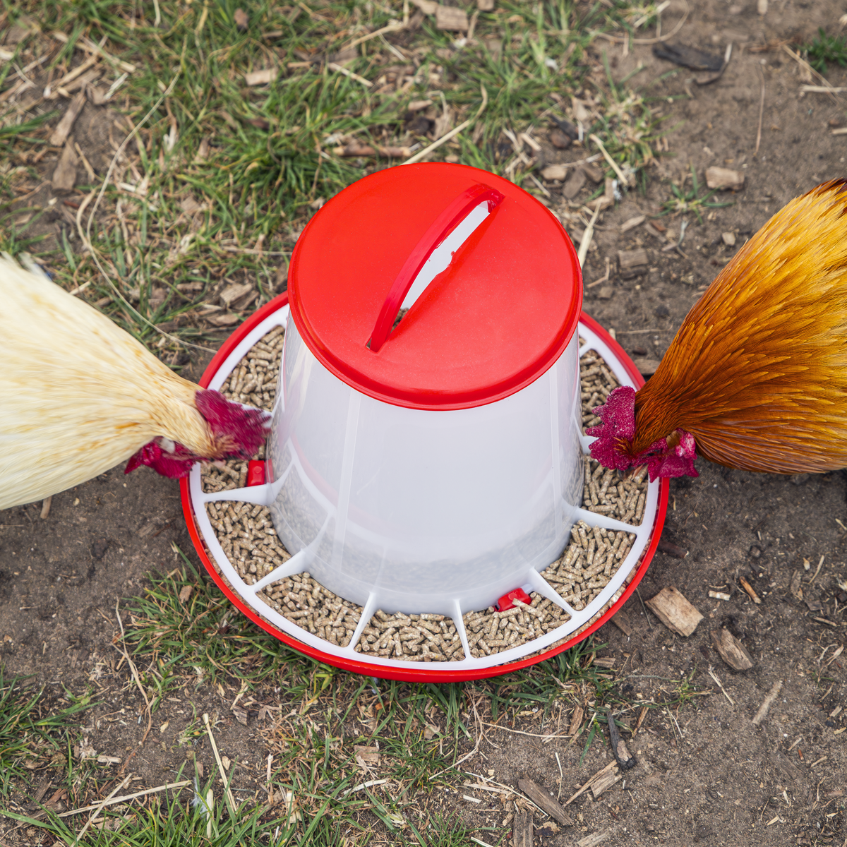 Sealey AFT033 Poultry Feeder 3kg - Pack of 3