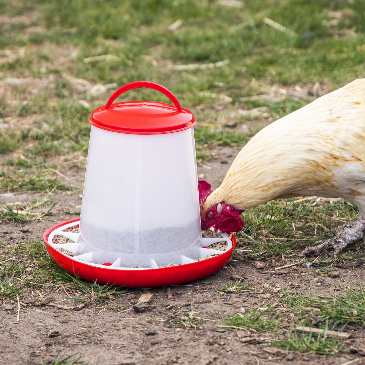 Sealey AFT03 Poultry Feeder 3kg