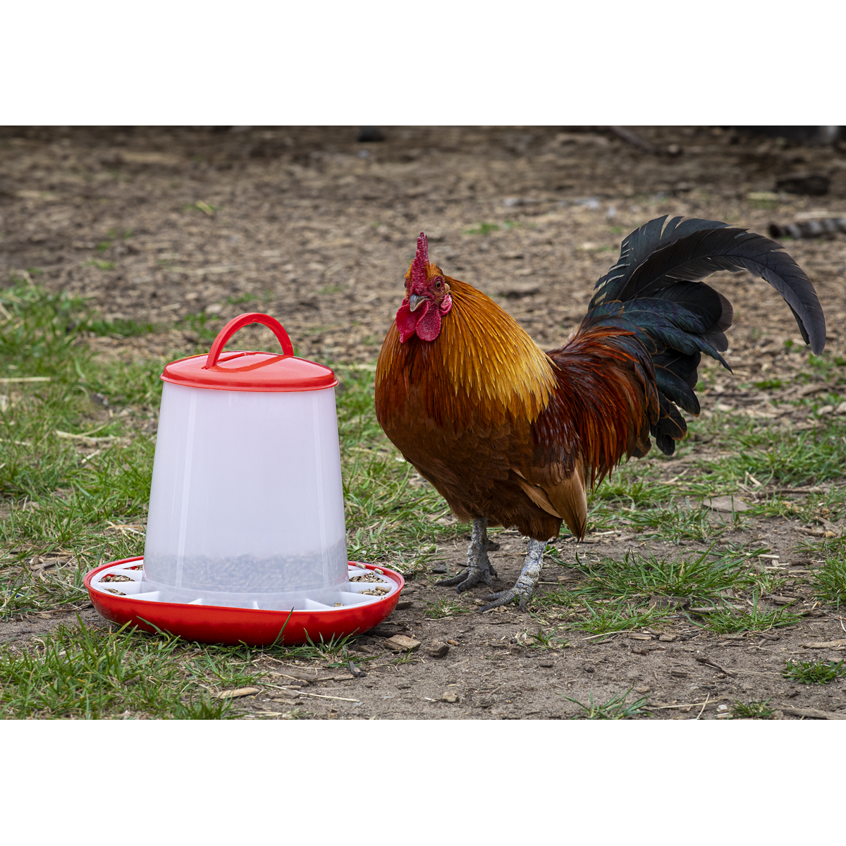 Sealey AFT03 Poultry Feeder 3kg