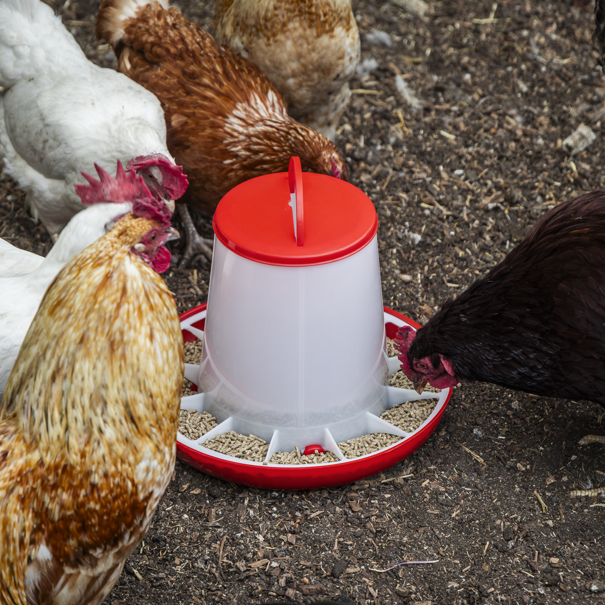 Sealey AFT042 Poultry Feeder 6kg - Pack of 2