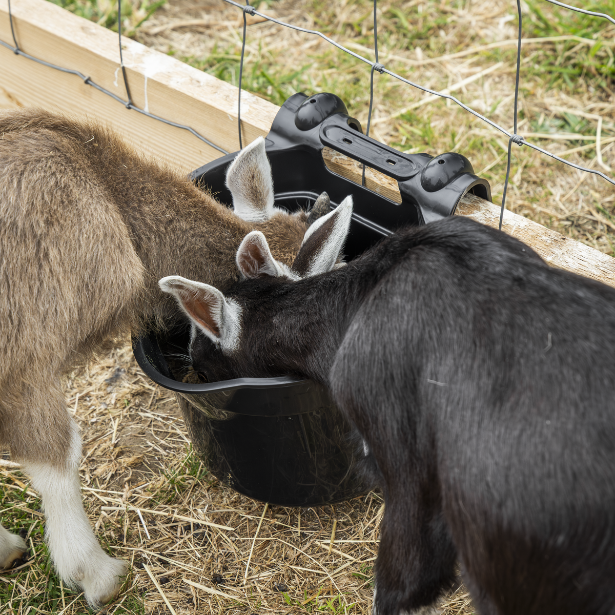 Sealey AFT05 Hook-Over Feeder 7L