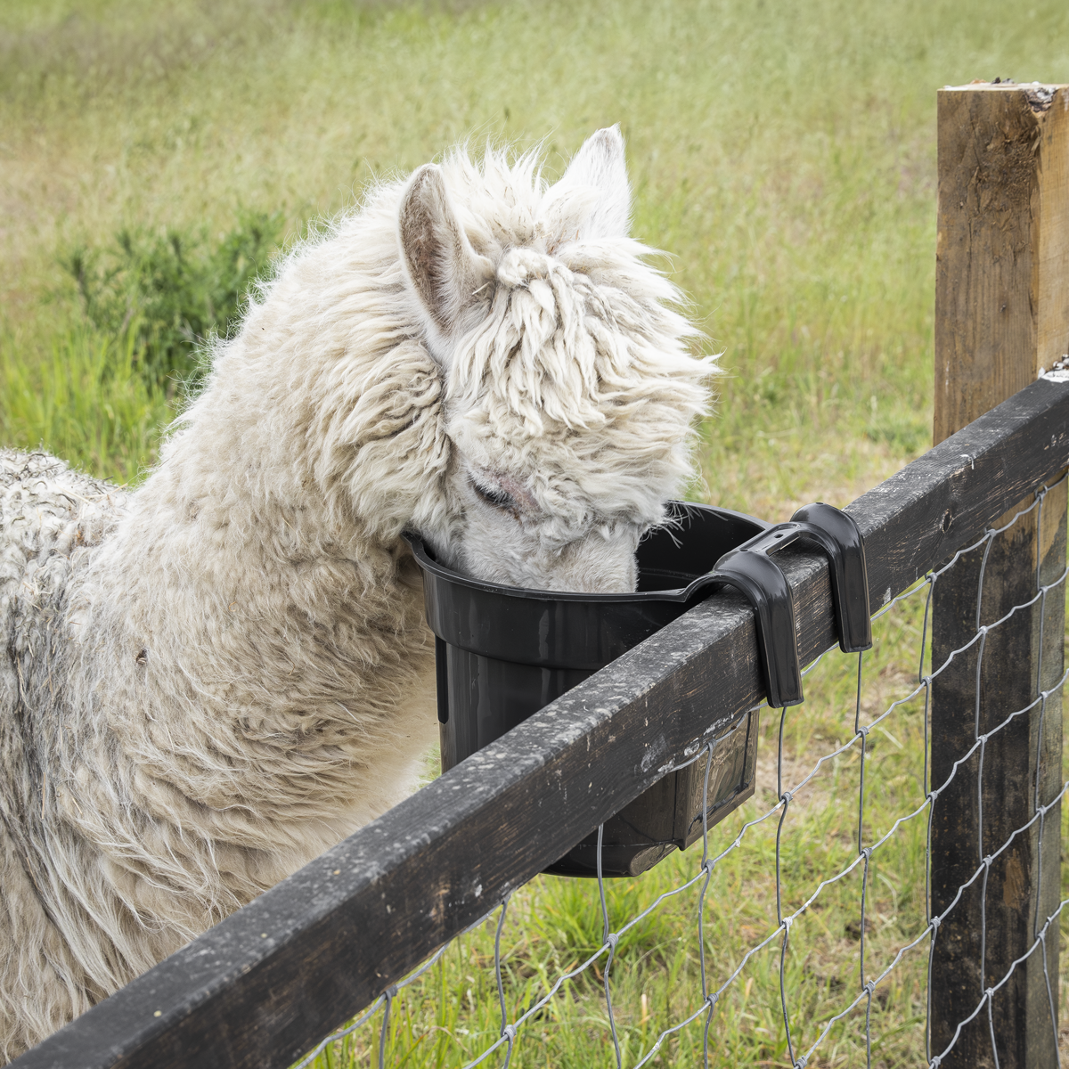 Sealey AFT05 Hook-Over Feeder 7L