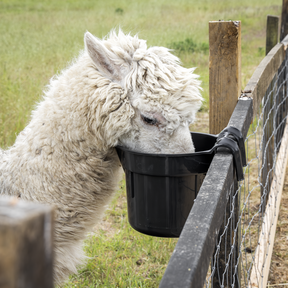 Sealey AFT05 Hook-Over Feeder 7L