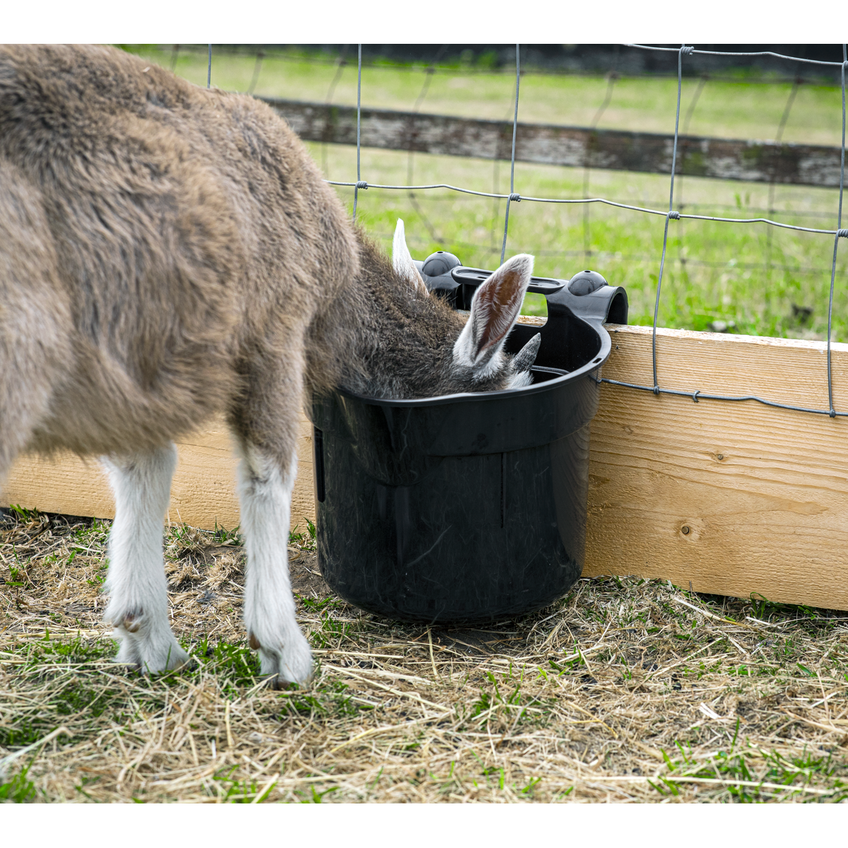 Sealey AFT05 Hook-Over Feeder 7L