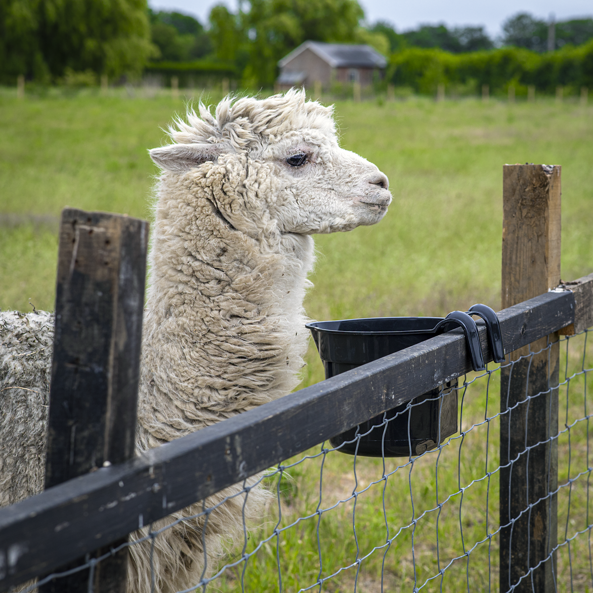 Sealey AFT05 Hook-Over Feeder 7L