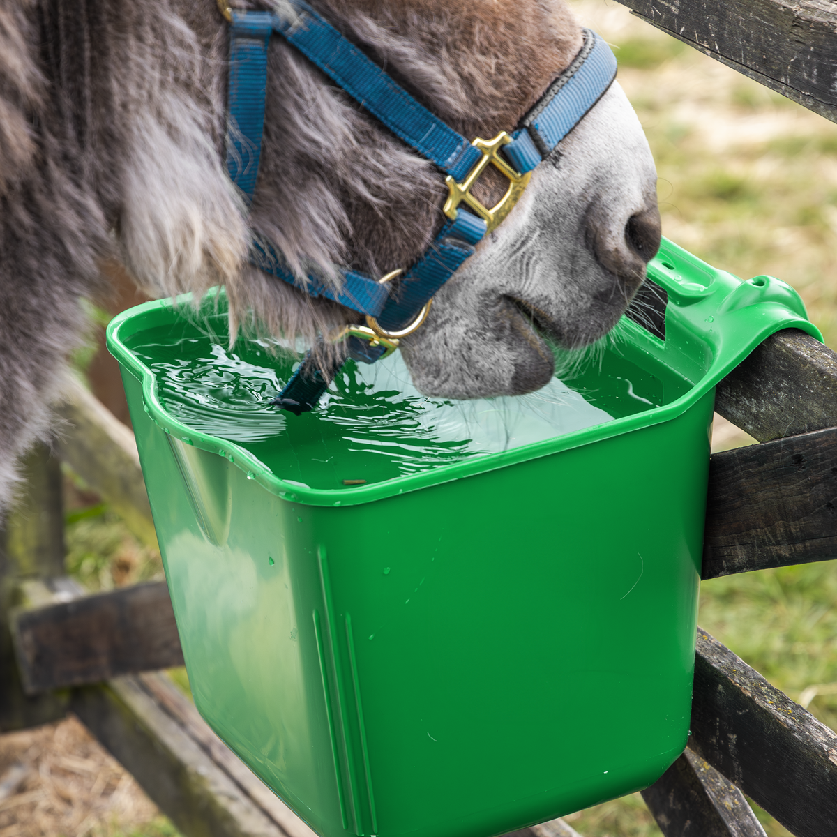 Sealey AFT06 Hook-Over Feeder 13L