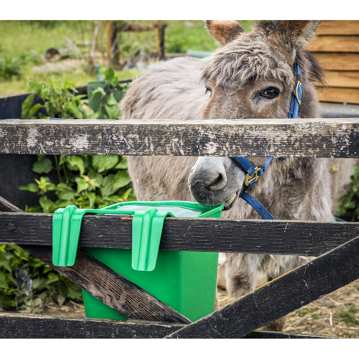 Sealey AFT06 Hook-Over Feeder 13L