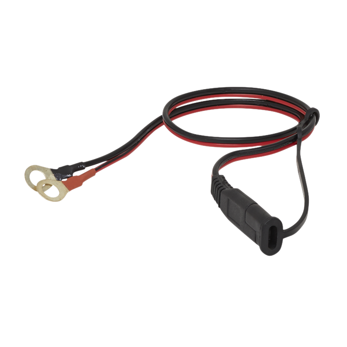 Sealey AUTOCHARGE100HF 6/12V Compact Smart Trickle Charger & Maintainer 1A