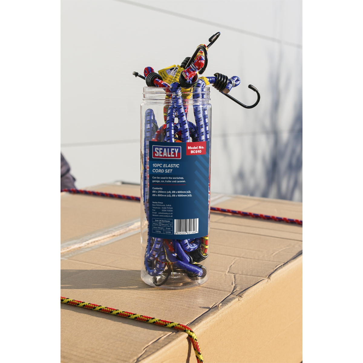 Sealey BCS10 Bungee Cord Set 10pc