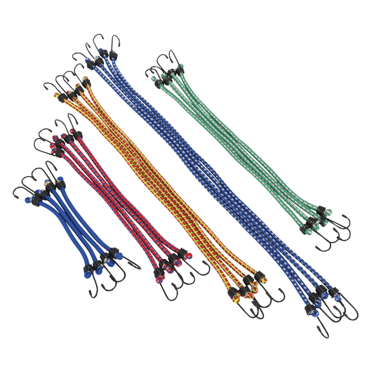 Sealey BCS20 Bungee Cord Set 20pc