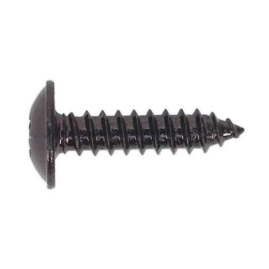 Sealey BST4819 Self-Tapping Pozi Flanged Head Screw 4.8 x 19mm, Black - Pack of 100