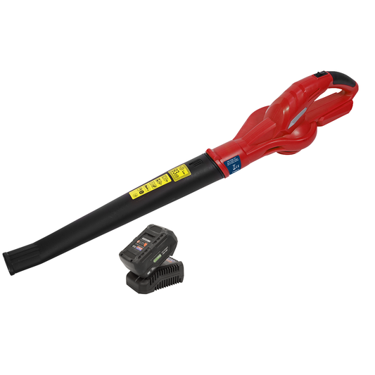 Sealey CB20VCOMBO4 SV20 Series Cordless Leaf Blower with 20V 4Ah Battery & Charger