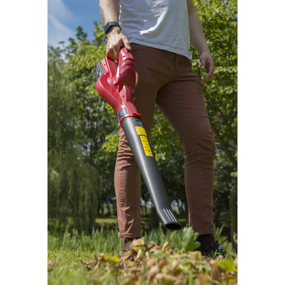 Sealey CB20VCOMBO4 SV20 Series Cordless Leaf Blower with 20V 4Ah Battery & Charger