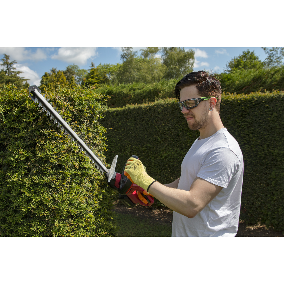 Sealey CHT20VCOMBO4 SV20 Series Cordless Hedge Trimmer 20V 4Ah with Battery & Charger