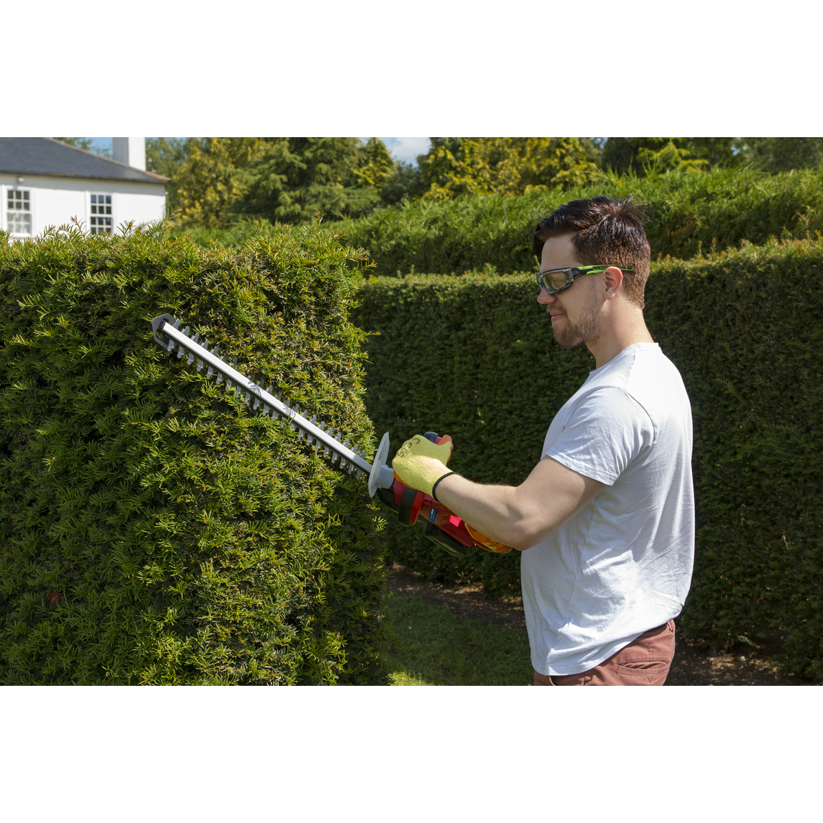 Sealey CHT20VCOMBO4 SV20 Series Cordless Hedge Trimmer 20V 4Ah with Battery & Charger