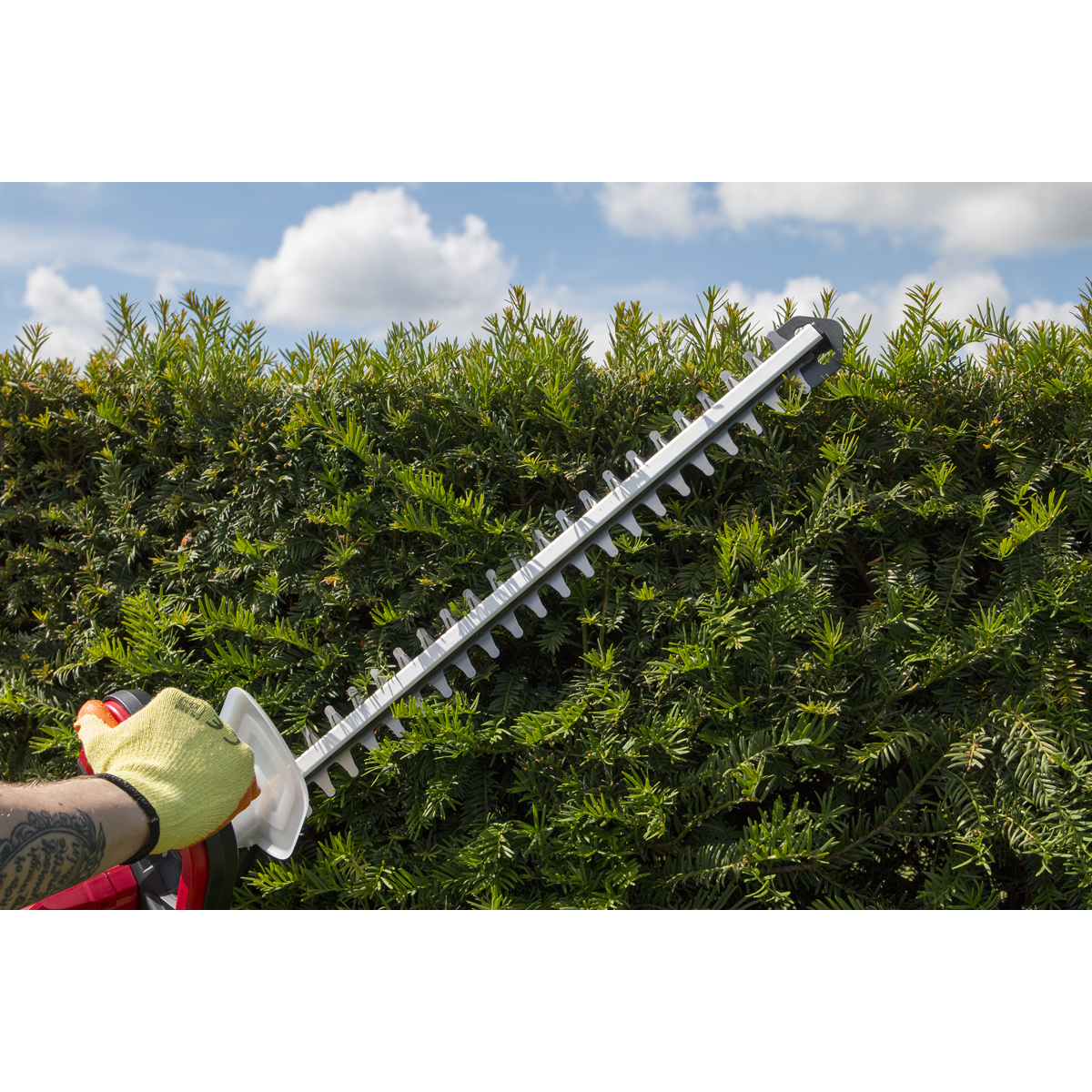 Sealey CHT20VCOMBO4 SV20 Series Cordless Hedge Trimmer 20V 4Ah with Battery & Charger