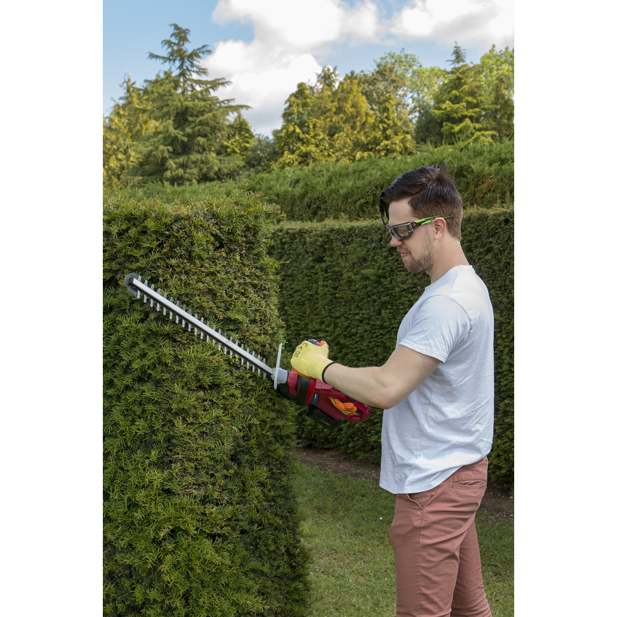 Sealey CHT20VCOMBO4 SV20 Series Cordless Hedge Trimmer 20V 4Ah with Battery & Charger