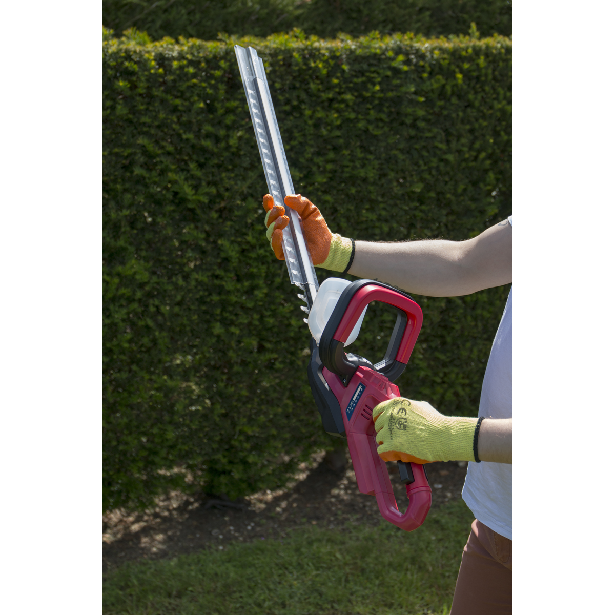 Sealey CHT20VCOMBO4 SV20 Series Cordless Hedge Trimmer 20V 4Ah with Battery & Charger