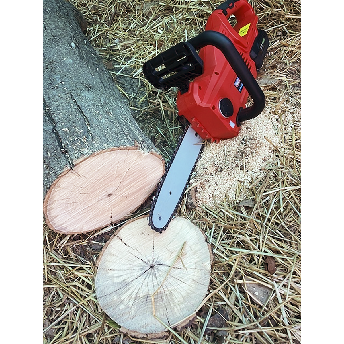 Sealey CP20VCHS SV20 Series 25cm Cordless Chainsaw 20V - Body Only