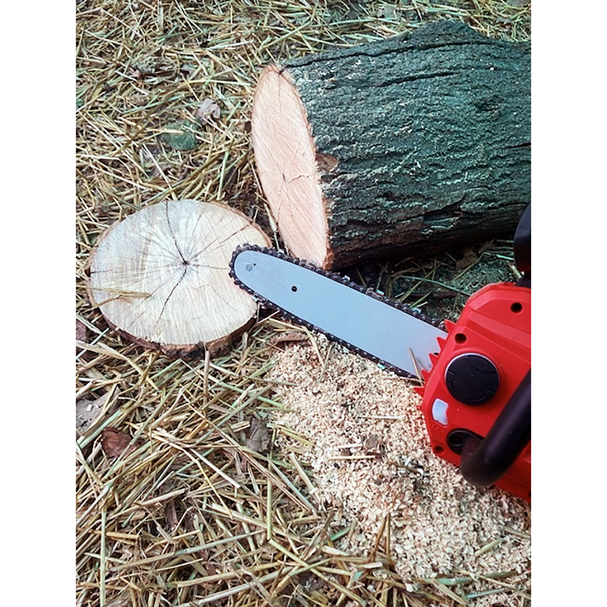 Sealey CP20VCHS SV20 Series 25cm Cordless Chainsaw 20V - Body Only