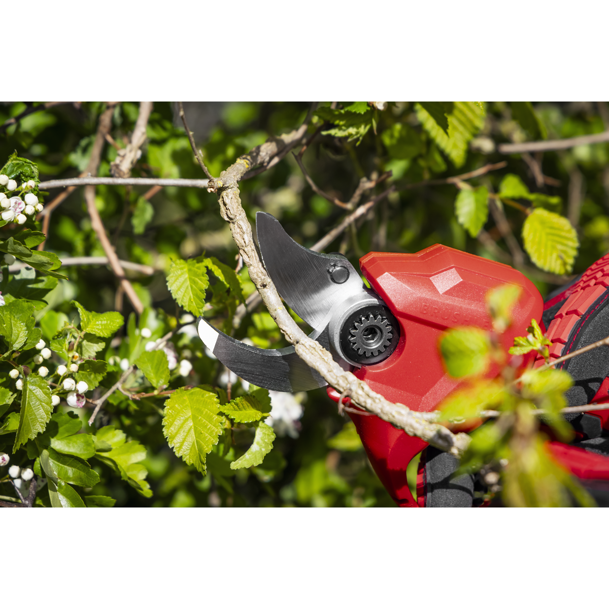 Sealey CP20VPSKIT SV20 Series Brushless Cordless Pruning Shears Kit 20V 2Ah - 2 Batteries