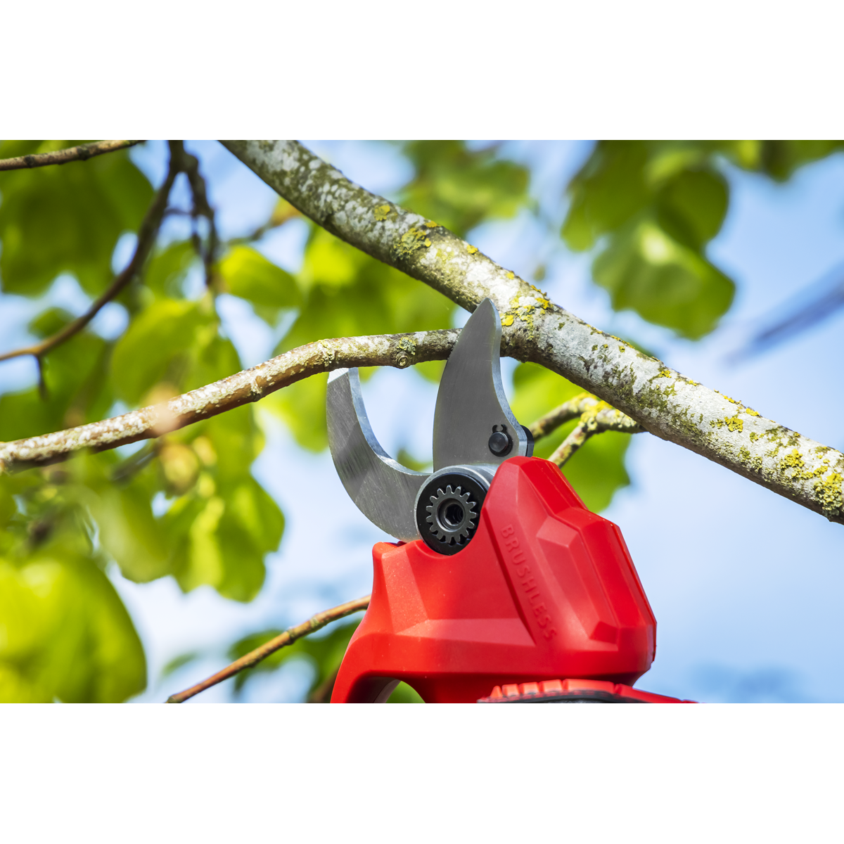 Sealey CP20VPSKIT SV20 Series Brushless Cordless Pruning Shears Kit 20V 2Ah - 2 Batteries