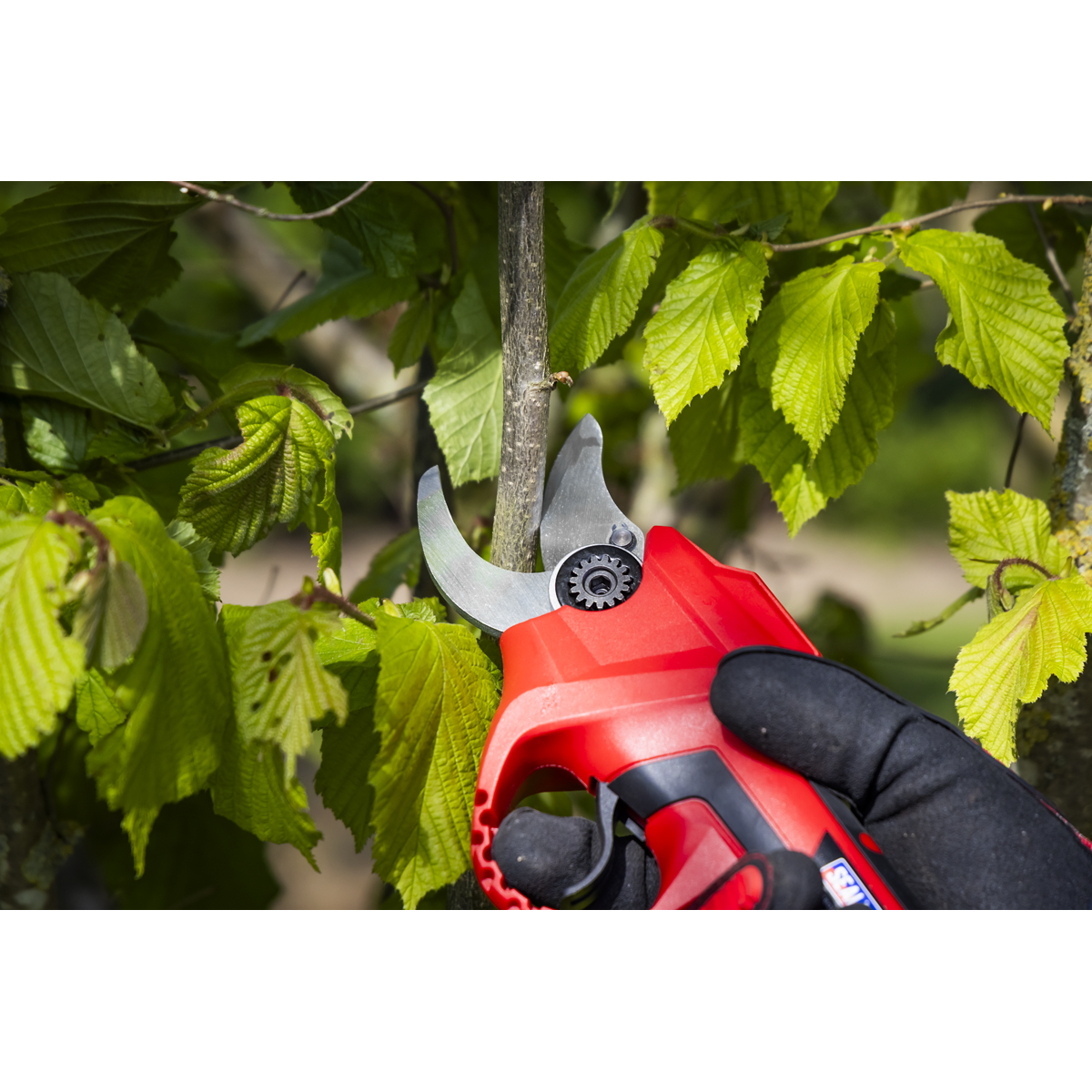Sealey CP20VPSKIT SV20 Series Brushless Cordless Pruning Shears Kit 20V 2Ah - 2 Batteries