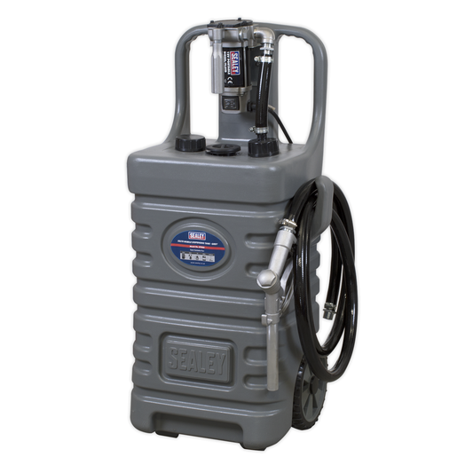 Sealey DT55GCOMBO1 Mobile Dispensing Tank with Diesel Pump 55L - Grey