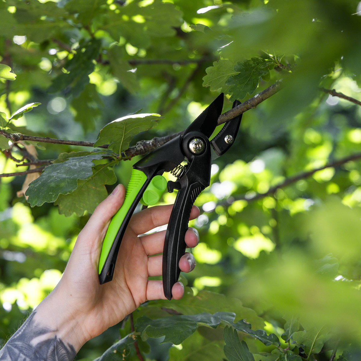 Sealey GTSG002 Anvil Secateurs with Soft Grip Handle, Safety Lock & Carbon Steel Blade, 208mm