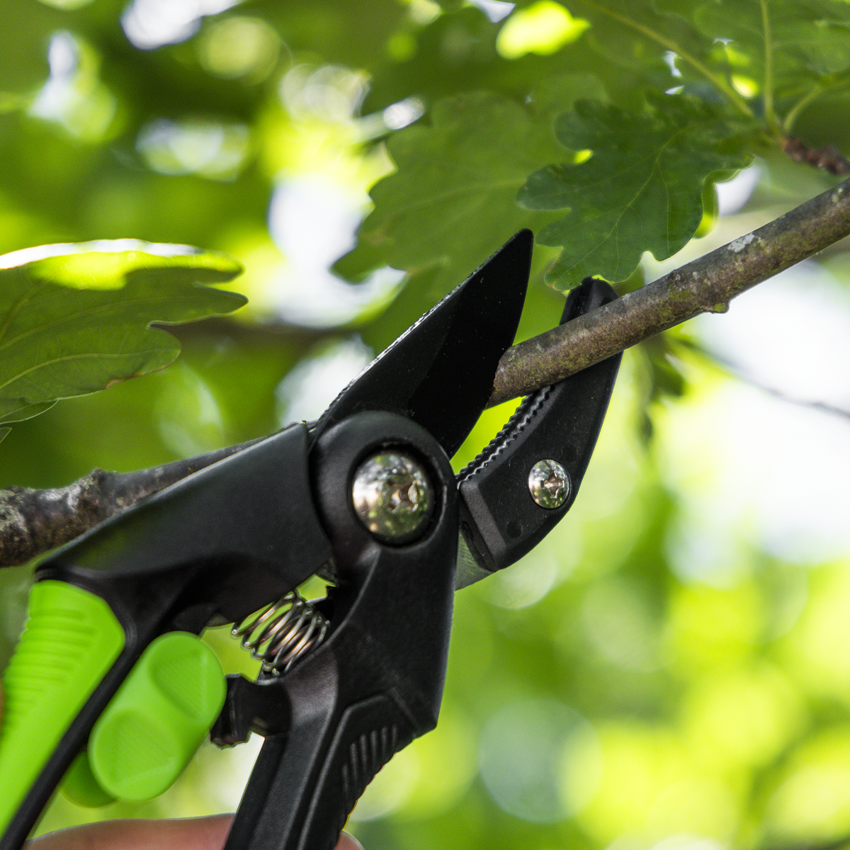 Sealey GTSG002 Anvil Secateurs with Soft Grip Handle, Safety Lock & Carbon Steel Blade, 208mm