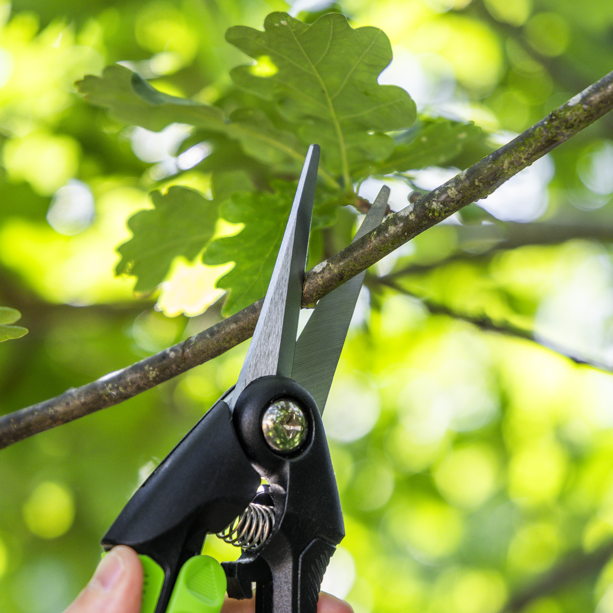 Sealey GTSG003 Pruning Snips with Soft Grip Handle & Carbon Steel Blade, 208mm