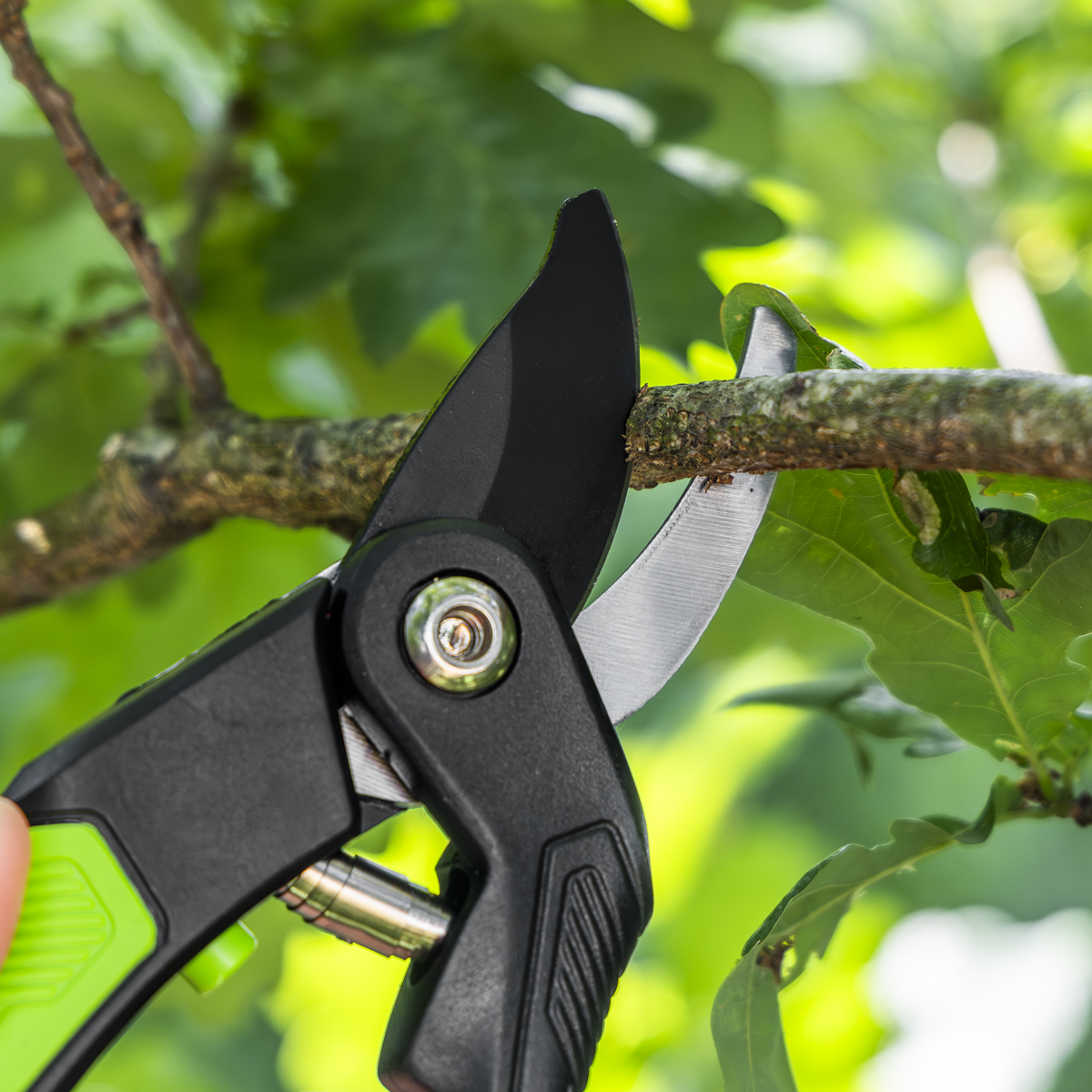 Sealey GTSG004 Bypass Secateurs with Soft Grip Handle, 3-Stage Safety Lock & Carbon Steel Blade, 220mm