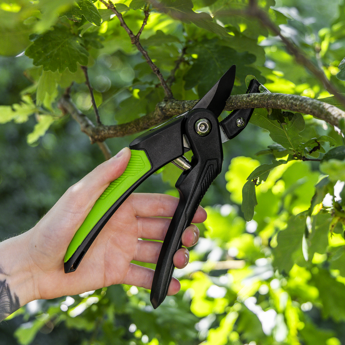 Sealey GTSG005 Anvil Secateurs with Soft Grip Handle, 3-Stage Safety Lock & Carbon Steel Blade, 220mm