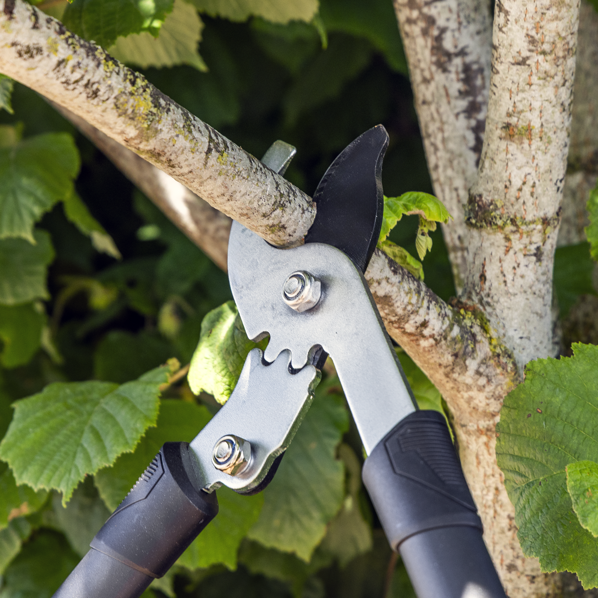 Sealey GTSG014 Bypass Lopping Shears with Soft Grip Handle, Geared & Carbon Steel Blade