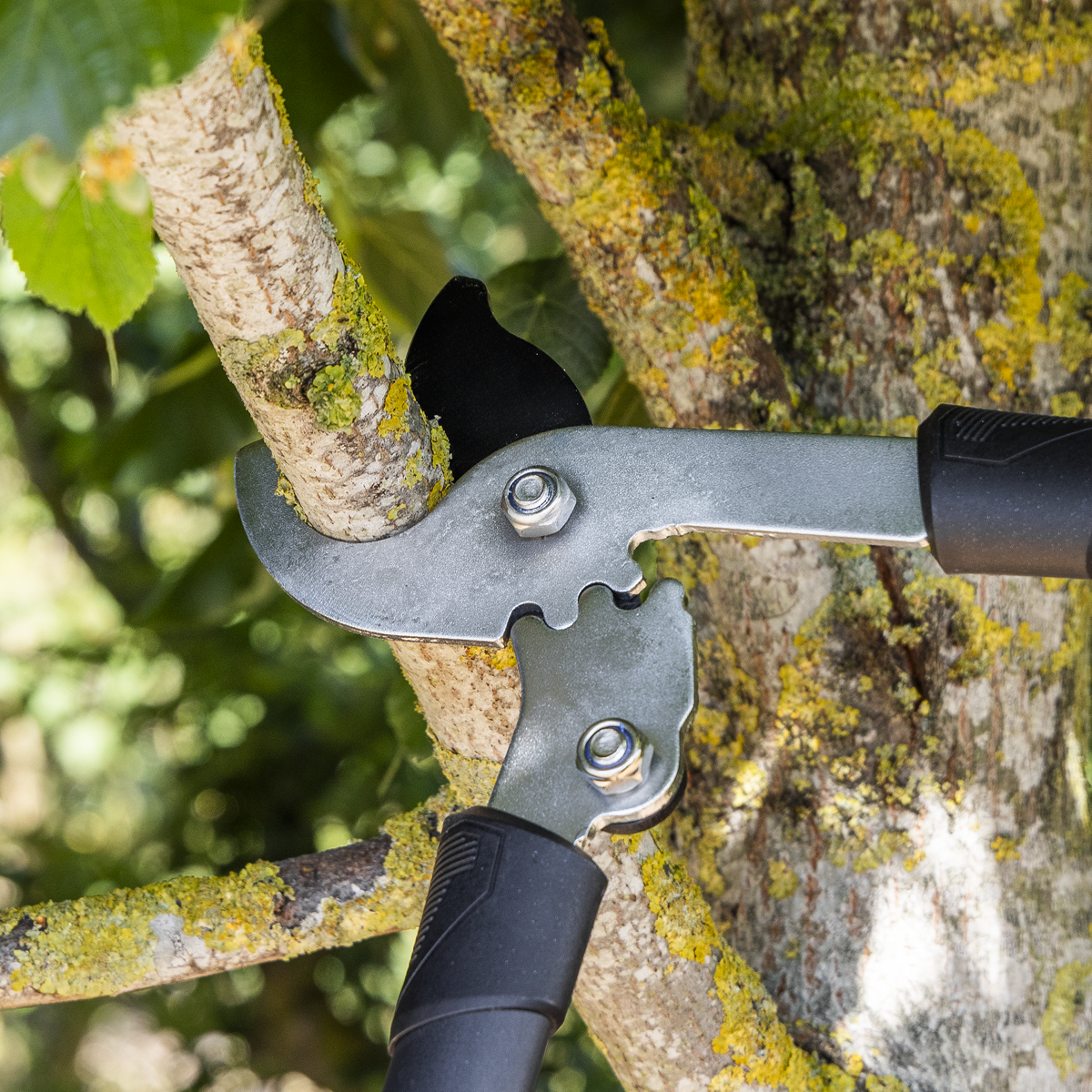 Sealey GTSG014 Bypass Lopping Shears with Soft Grip Handle, Geared & Carbon Steel Blade