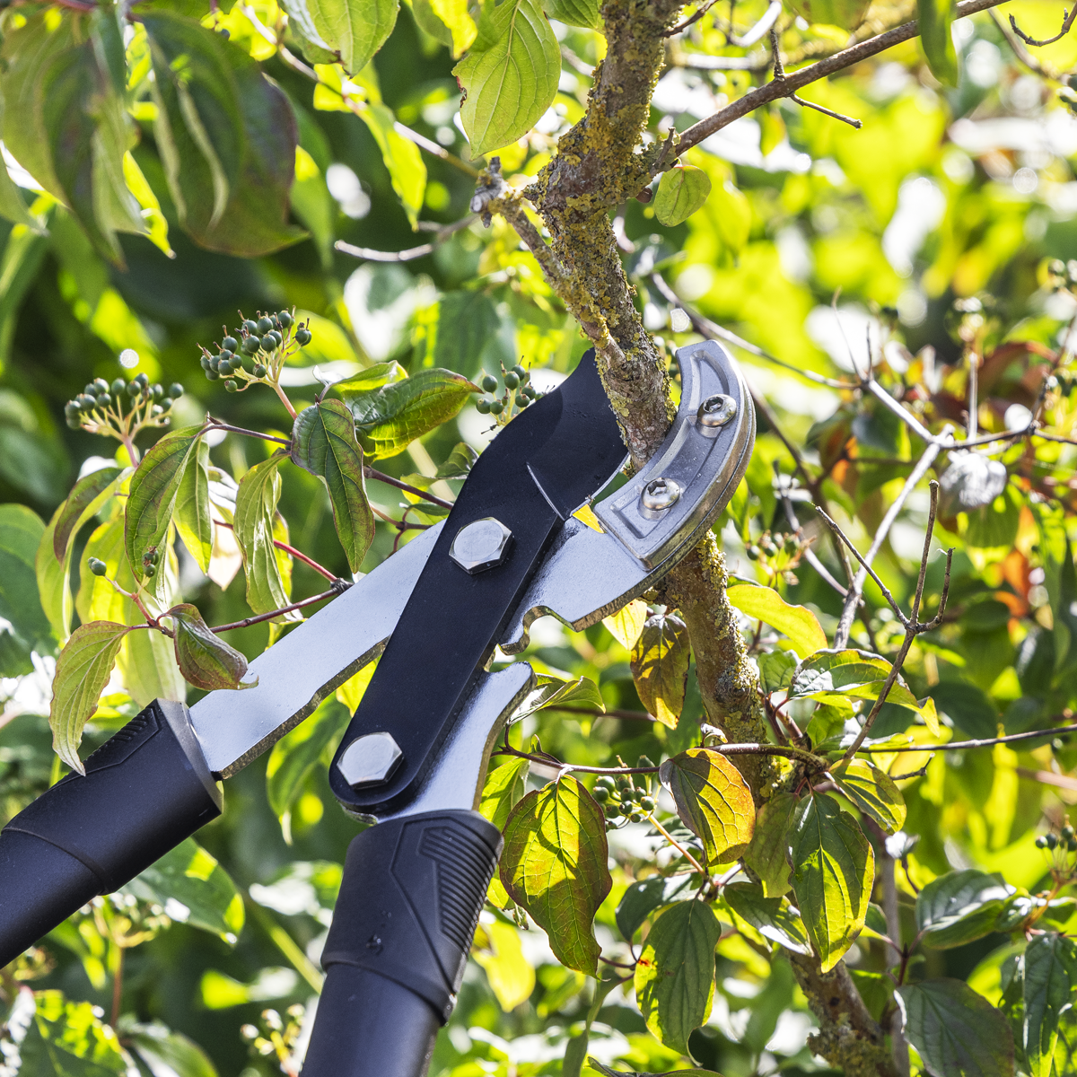 Sealey GTSG015 Anvil Lopping Shears with Soft Grip Handle, Geared & Carbon Steel Blade